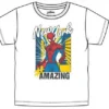 Tshirt Menino Aranha Losan