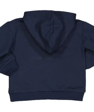 Sweat Capuz Dino Birba