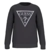 Sweat Guess