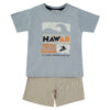 Conjunto Calção Hawaii Menino