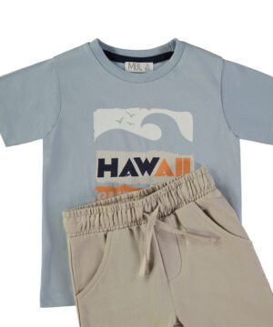 Conjunto Calção Hawaii Menino