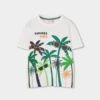 Tshirt Palmeiras Menino Boboli
