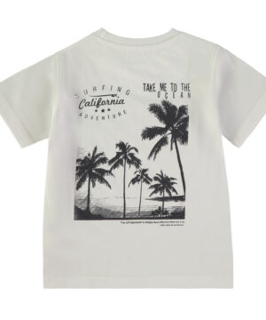 Tshirt Menino Surfing Babybol